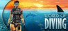 World of Diving Image