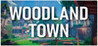 Woodland Town Image