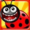 Boom Bugs Image