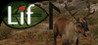 Lif Image