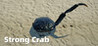 Strong Crab Image