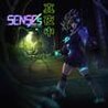 SENSEs: Midnight Image