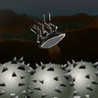 Bot Ro Image