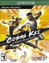 Cobra Kai: The Karate Kid Saga Continues Image