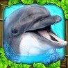 Dolphin Simulator Image