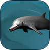 Real Dolphin coral reef simulator Image