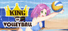 King of Volleyball Image