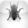 Monster Fly Image