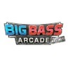 Big Bass Arcade: No Limit Image