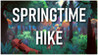 Springtime Hike Image