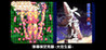 G-Mode Archives + Danmaku Kentei Shi Tameshi - Daioujou Hen - Image