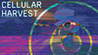 Cellular Harvest Image