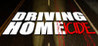 Driving Home(icide)