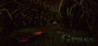 The Grass Image