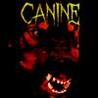 Canine Image