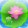 Frog Trap Image