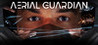 Aerial Guardian Image
