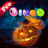 AAA - Pumpkin Bingo Pro ! Image
