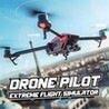 Drone Pilot: Extreme Flight Simulator Image
