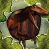 Virtual Pet Dinosaur: Velociraptor Image