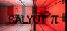 Salyut Image