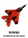 Hawks: Guardians of the Skies Image