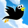 Flap Flap Image