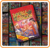 Double Dragon (NES) Image