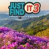 Just Find It 3 Image