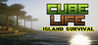 Cube Life: Island Survival Image