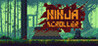 Ninja Scroller Image