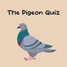 The Pigeon Quiz Image