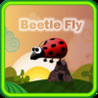 Beetle fly Image