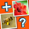 MixTwo Image