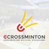 eCrossminton Image