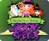 Secrets of Magic: The Book of Spells Image