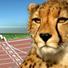 Sprinters Image