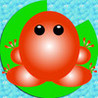 Pocket Frog 2 Image