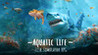 Aquatic Life: Fish Simulator RPG Image