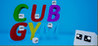 Cub Gym Image
