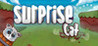 Surprise Cat Image
