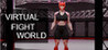 Virtual Fight World