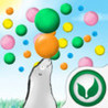Seals Image