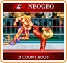 ACA NeoGeo: 3 Count Bout Image