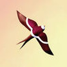 Sunbirds Image