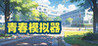 Youth Simulator Image