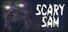 SCARY SAM Image