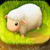 Tiny Sheep Image