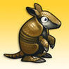 Armadillo Gold Rush Image