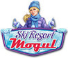 Ski Resort Mogul Image